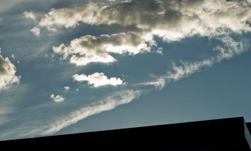 Sunnyside Sunset - Roof